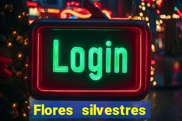 Flores silvestres brasileiras 25